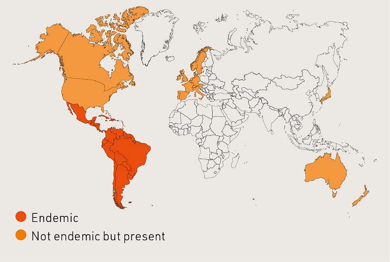 Endemic in 21 Latin American Countries