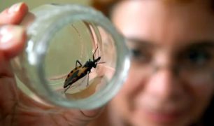 EFE Salud: ‘Vivir con Chagas sin saberlo: La enfermedad en España está infradiagnosticada’