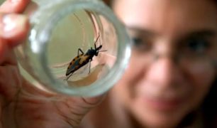 Infobae: ‘Cómo es el nuevo estudio clínico contra el Chagas que se realiza en la Argentina’