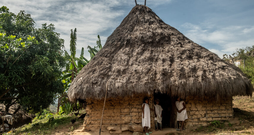 Enfermedad de Chagas: los rostros de la cura