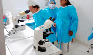 El INS presenta el lineamiento técnico para el uso de Pruebas de Diagnóstico Rápido para la detección de la enfermedad de Chagas