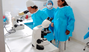 Lanzan plan piloto de pruebas rápidas para detectar enfermedad de Chagas