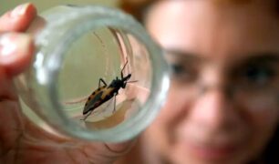 Sinais de cura para a doença de Chagas