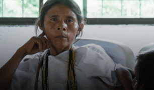 Aumentan los casos de enfermedad de Chagas fuera de América Latina