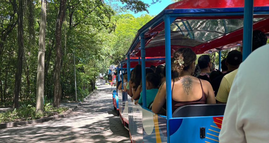 DNDi e Museu da Vida Fiocruz promovem ação educativa no Dia Mundial das Doenças Tropicais Negligenciadas