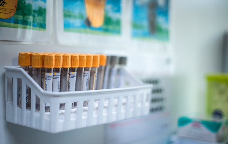 Parceria para desenvolvimento de medicamentos 